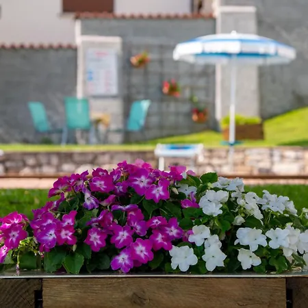 Lejlighedshotel Celeste View 4*