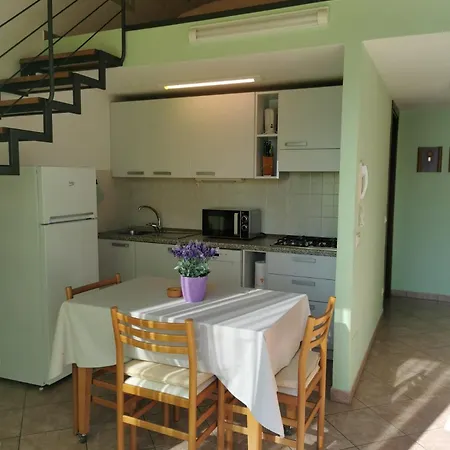 Celeste View