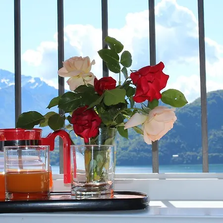 Appart hôtel Celeste View 4*