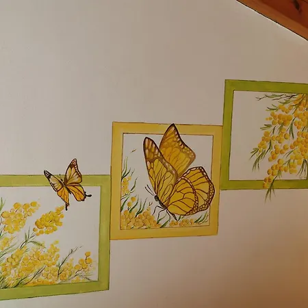 Celeste View Меццегра